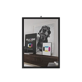  Posters